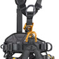 PETZL ASTRO® BOD FAST international version