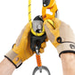 PETZL RIG
